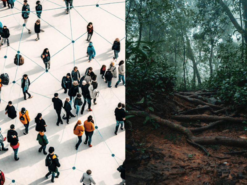 human networks and nature